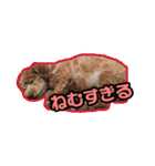 ルチルとモリオン（個別スタンプ：7）