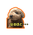 ルチルとモリオン（個別スタンプ：10）