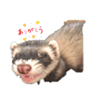かえるとハクとココと愉快な仲間たち（個別スタンプ：1）