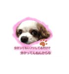 りっちゃんの上から目線（個別スタンプ：8）