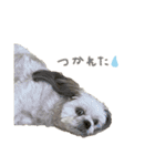 viviちゃんのスタンプ（個別スタンプ：3）