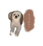 viviちゃんのスタンプ（個別スタンプ：7）