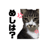 @djmasahappy OFFICIAL LINEスタンプ（個別スタンプ：8）