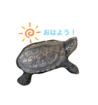 ふらむんスタンプ（個別スタンプ：1）