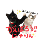 アモちゃんにゃりん♡（個別スタンプ：3）