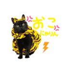 アモちゃんにゃりん♡（個別スタンプ：21）