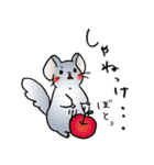 あずねこスタンプ山形弁ver①（個別スタンプ：14）