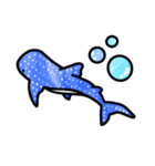 にこにこ海の仲間たち（個別スタンプ：1）
