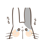のんびりぶちうさスタンプ（個別スタンプ：15）