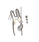 のんびりぶちうさスタンプ（個別スタンプ：21）