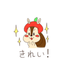 ぽむりすのカメラスタンプ。（個別スタンプ：7）