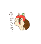ぽむりすのカメラスタンプ。（個別スタンプ：9）