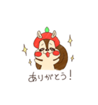 ぽむりすのカメラスタンプ。（個別スタンプ：13）