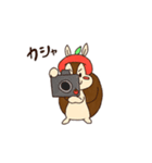 ぽむりすのカメラスタンプ。（個別スタンプ：22）