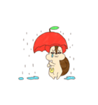 ぽむりすのカメラスタンプ。（個別スタンプ：38）