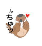 変わったすずめ（個別スタンプ：1）