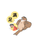 変わったすずめ（個別スタンプ：3）
