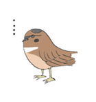 変わったすずめ（個別スタンプ：5）