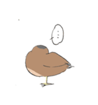 変わったすずめ（個別スタンプ：6）