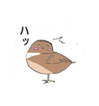 変わったすずめ（個別スタンプ：7）