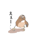変わったすずめ（個別スタンプ：12）