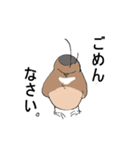 変わったすずめ（個別スタンプ：21）