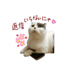 にゃーこの気まぐれ（個別スタンプ：4）