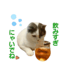 にゃーこの気まぐれ（個別スタンプ：11）
