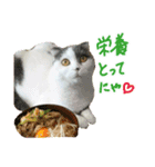 にゃーこの気まぐれ（個別スタンプ：12）