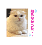 頑張り屋さんのあの人へ（個別スタンプ：6）