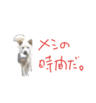*ココちゃん*（個別スタンプ：3）