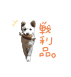 *ココちゃん*（個別スタンプ：6）