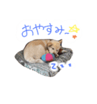 *ココちゃん*（個別スタンプ：8）