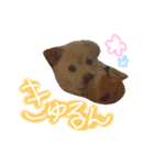 *ココちゃん*（個別スタンプ：14）