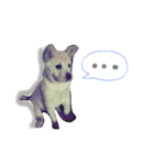 *ココちゃん*（個別スタンプ：16）