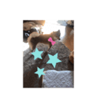 可愛いさんたよん（個別スタンプ：4）