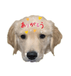 Todos los días（個別スタンプ：7）