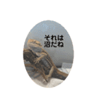 U氏宅のペットたち（個別スタンプ：5）