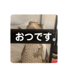 U氏宅のペットたち（個別スタンプ：9）