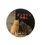 U氏宅のペットたち（個別スタンプ：20）