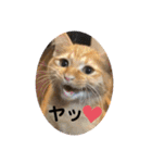 U氏宅のペットたち（個別スタンプ：26）