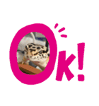 U氏宅のペットたち（個別スタンプ：28）