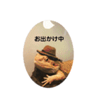 U氏宅のペットたち（個別スタンプ：30）