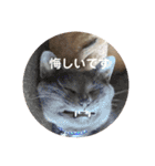 U氏宅のペットたち（個別スタンプ：32）