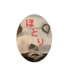 U氏宅のペットたち（個別スタンプ：33）
