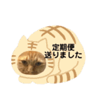 U氏宅のペットたち（個別スタンプ：34）