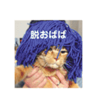 U氏宅のペットたち（個別スタンプ：37）