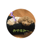 チャチャコちゃん（個別スタンプ：3）