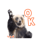 のぼりべつクマ牧場 公式スタンプ第2弾（個別スタンプ：4）