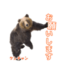 のぼりべつクマ牧場 公式スタンプ第2弾（個別スタンプ：5）